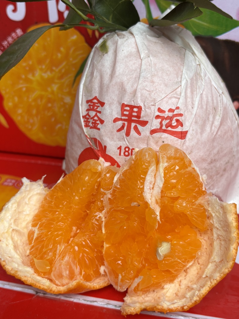 春见耙耙柑，全平台一件代发，开票服务。欢迎骚扰。
