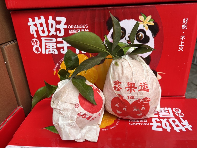 春见耙耙柑，全平台一件代发，开票服务。欢迎骚扰。