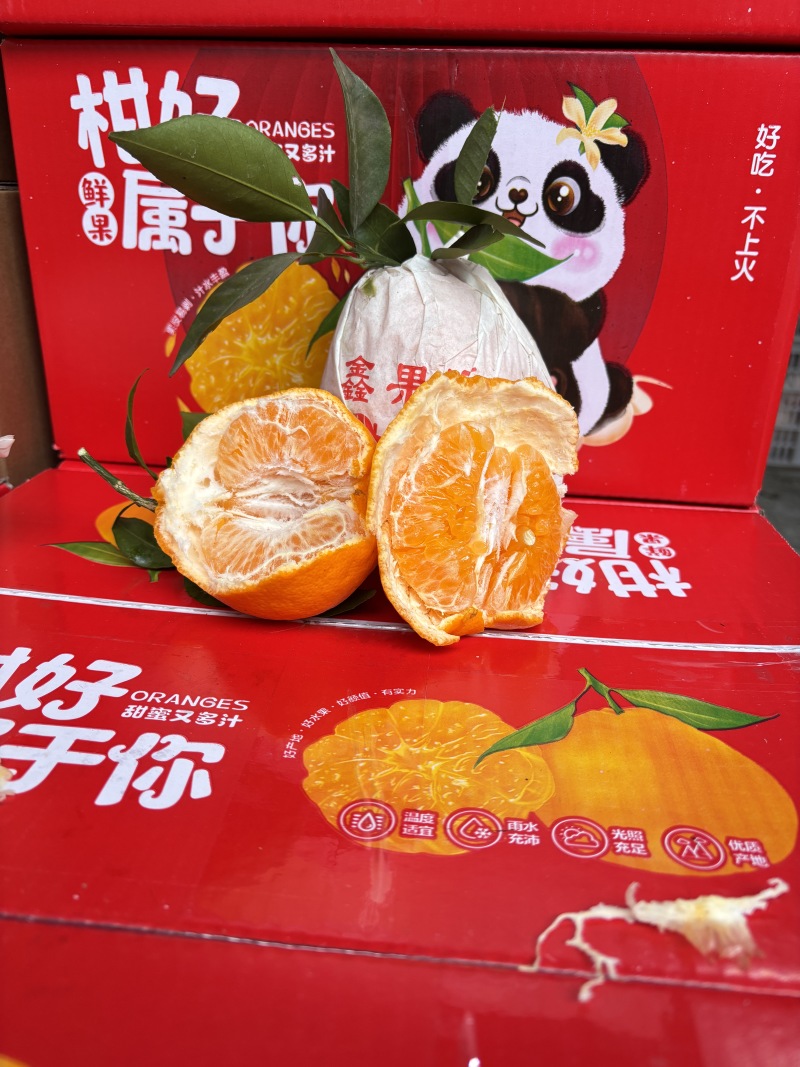 春见耙耙柑，全平台一件代发，开票服务。欢迎骚扰。