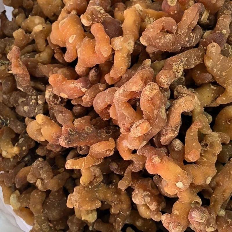 黄精野生非九蒸九晒中药材鸡头泡酒即食手工挑选大个