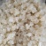 雪燕10斤起包邮