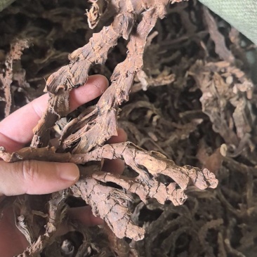 中药材，石昌蒲干货，统条品质好货质美价优欢迎下单