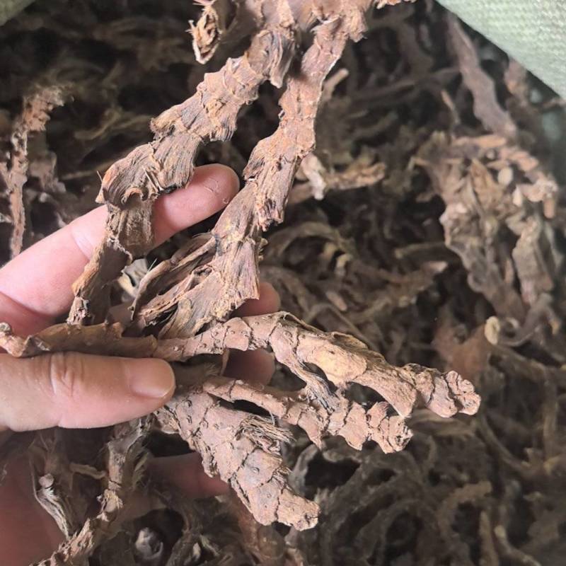 中药材，石昌蒲干货，统条品质好货质美价优欢迎下单