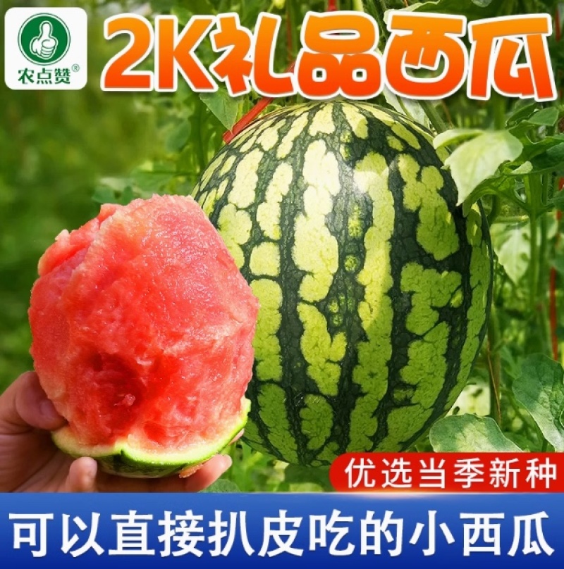 2K礼品西瓜种子-早熟皮薄有韧性甜脆多汁口感佳一代杂交