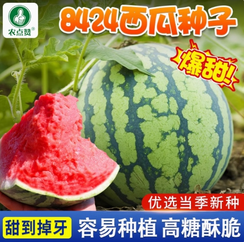 冰糖麒麟西瓜种子-早熟种抗病抗逆耐低温汁多味甜适应性强