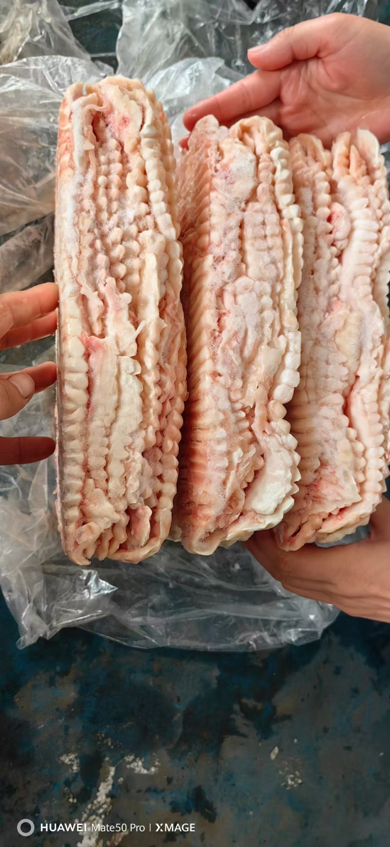 天梯烧烤食材火锅食材