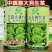 中蔬意大利生菜种子爽脆微甜半结球生菜种籽耐抽苔耐热耐寒