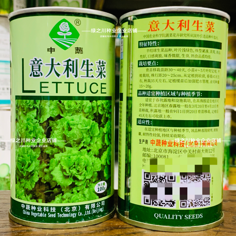 中蔬意大利生菜种子爽脆微甜半结球生菜种籽耐抽苔耐热耐寒