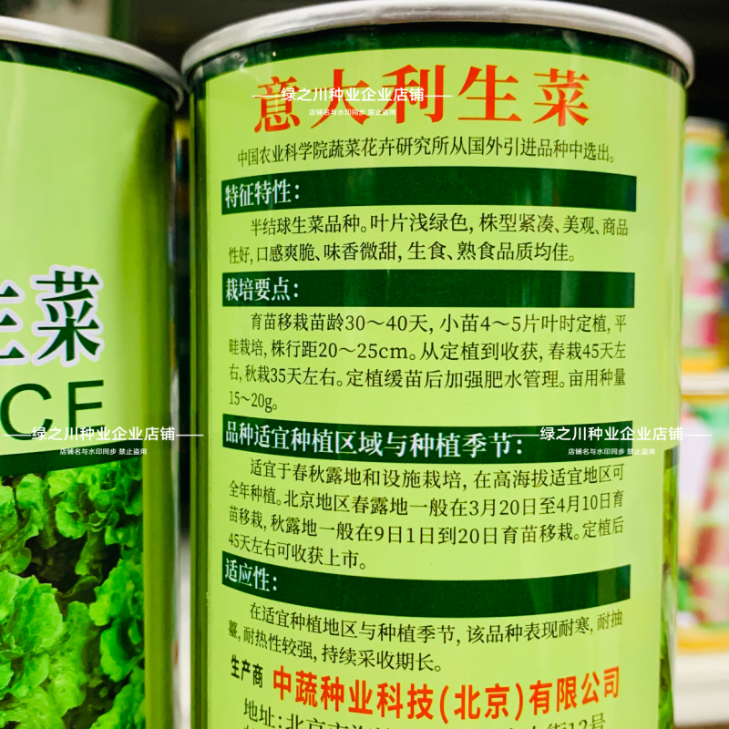 中蔬意大利生菜种子爽脆微甜半结球生菜种籽耐抽苔耐热耐寒