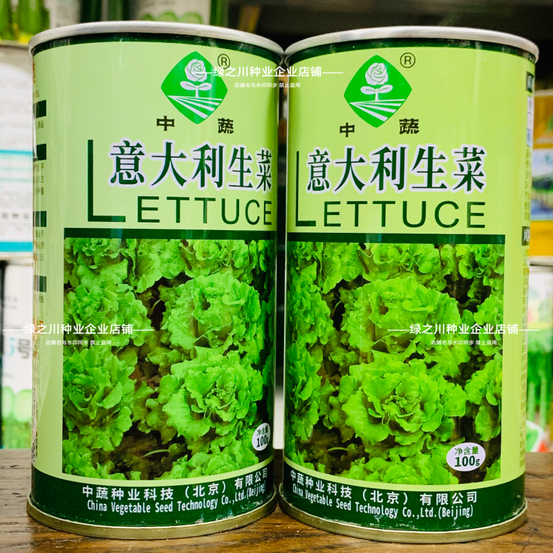 中蔬意大利生菜种子爽脆微甜半结球生菜种籽耐抽苔耐热耐寒