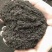【口碑好肥料】生物有机菌肥厂家直发品质保证欢迎选购