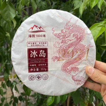 冰岛熟茶饼-2024年