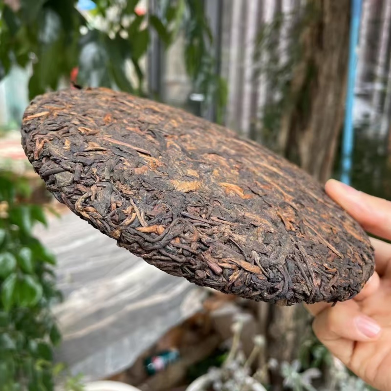 冰岛熟茶饼-2024年