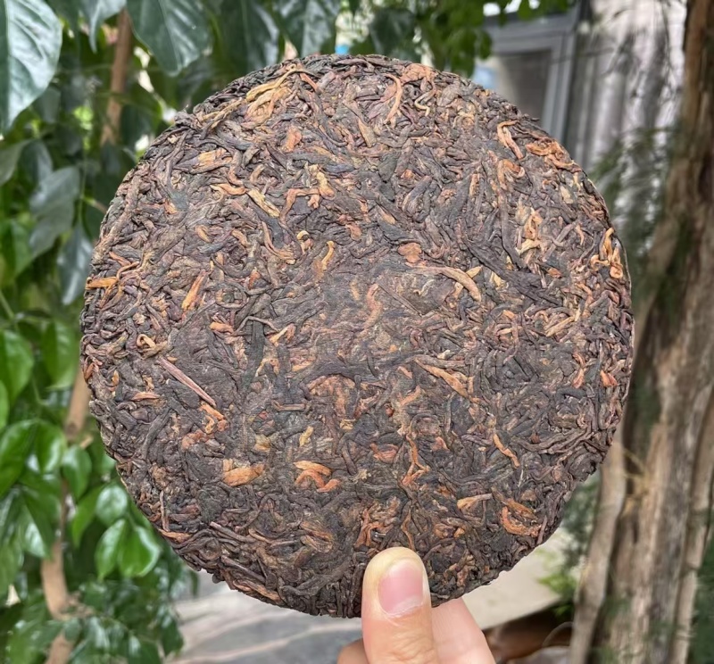 冰岛熟茶饼-2024年