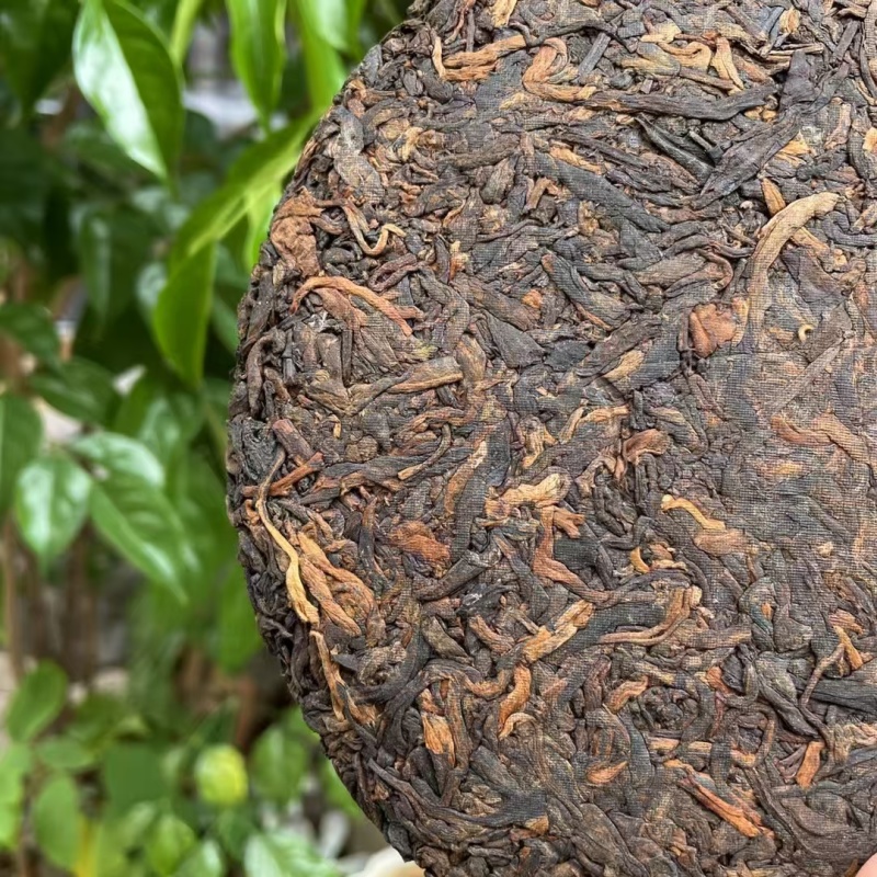 冰岛熟茶饼-2024年