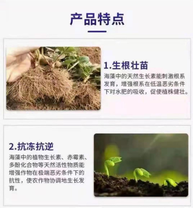 枯草芽孢杆菌微生物菌剂有机质50有效活菌8亿根腐用肥