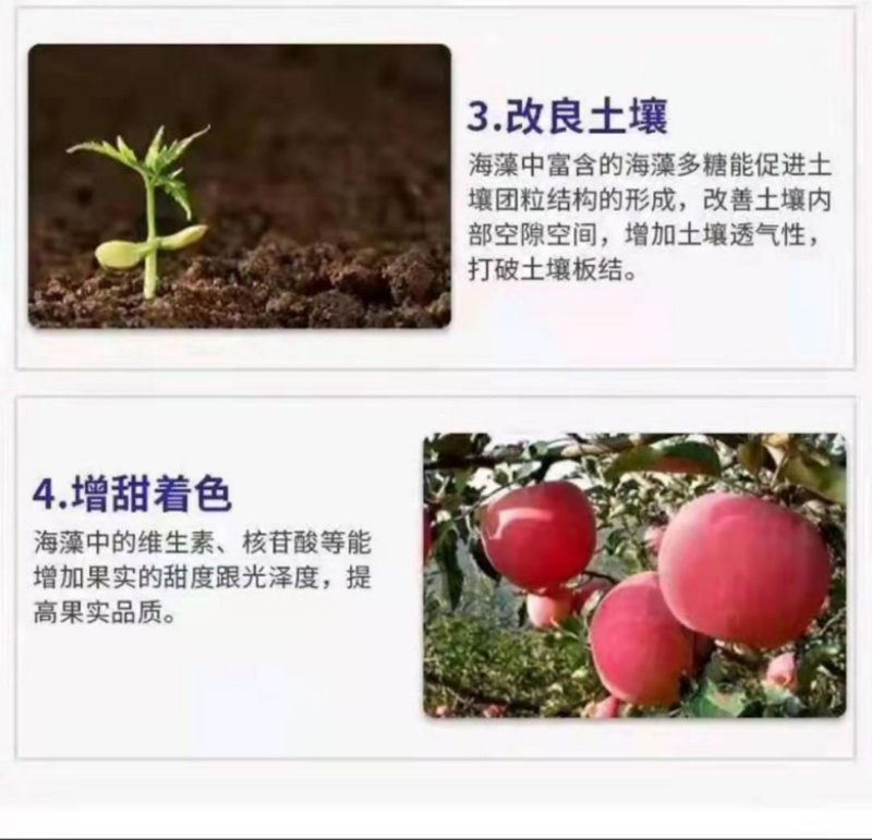 枯草芽孢杆菌微生物菌剂有机质50有效活菌8亿根腐用肥