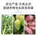 枯草芽孢杆菌微生物菌剂有机质50有效活菌8亿根腐用肥