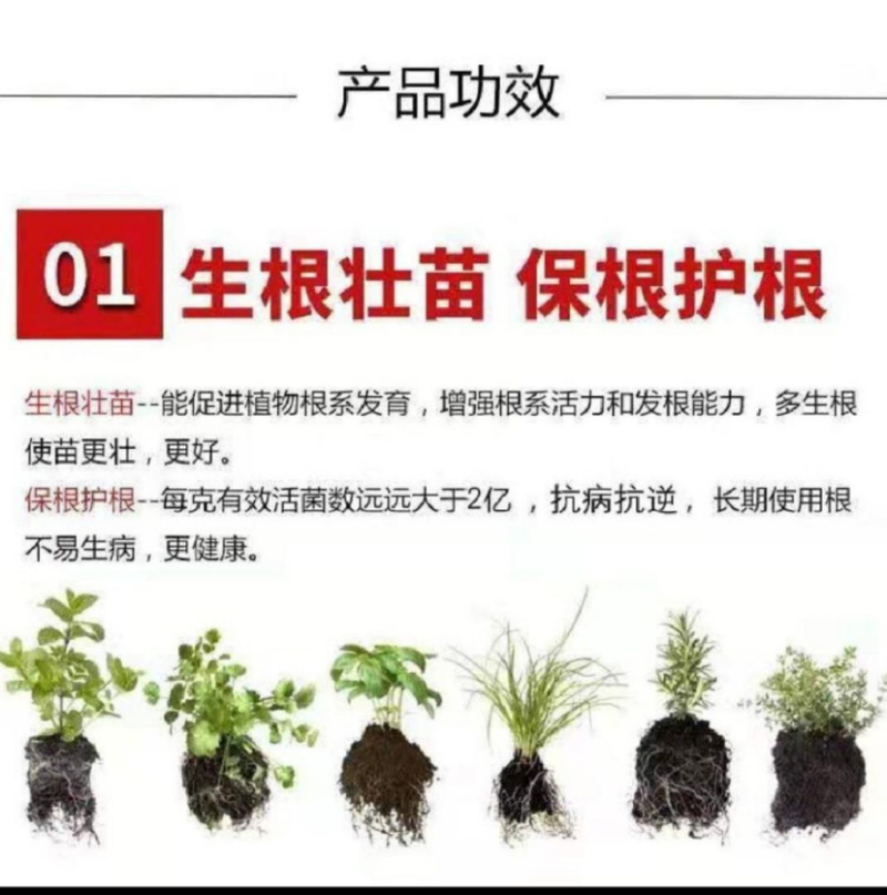 碳能微生物菌肥复合微生物颗粒+有机无机微生物三合一厂家直发