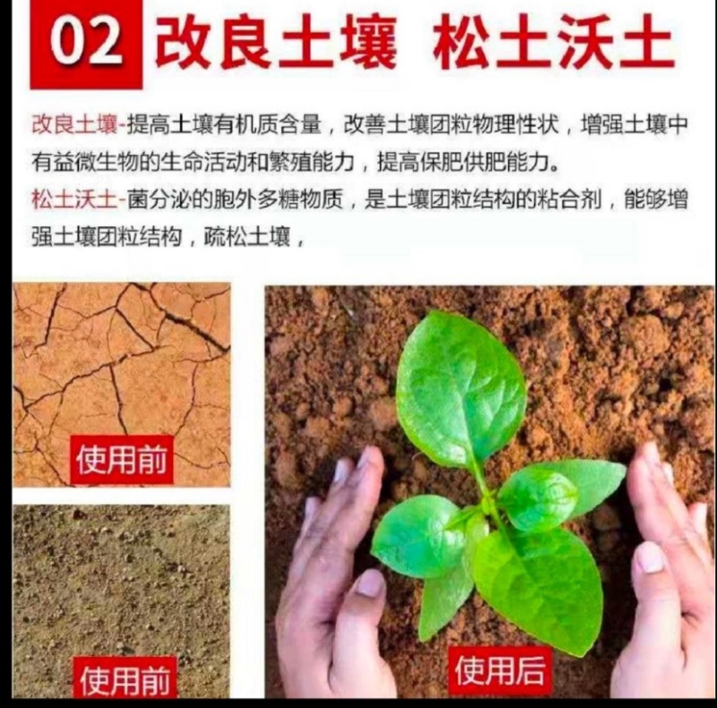 碳能微生物菌肥复合微生物颗粒+有机无机微生物三合一厂家直发