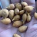 辽宁毛桃种子手工挑选的毛桃仁粒粒饱满