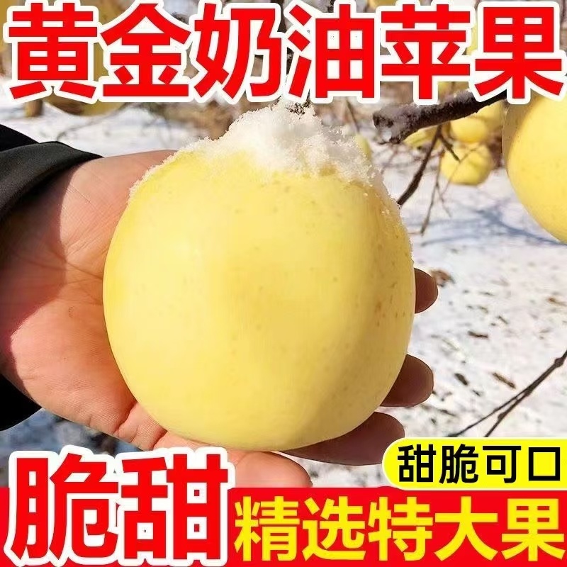 黄金奶油富士，脆甜多汁，精选大果，需要的老板可以下单。
