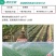 黄腐酸钾《甲肥》包邮,水溶肥价格优惠生根壮苗,厂家直发