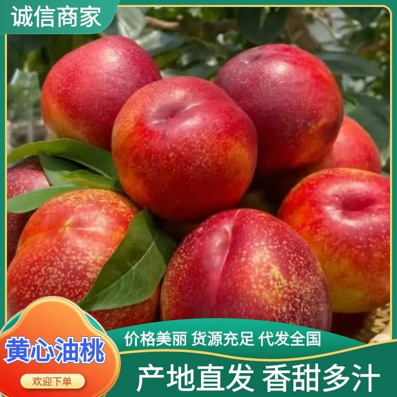 金雷曙光油桃果肉脆甜果皮口感脆干净光滑