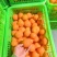 沃柑支持视频看货，可发往全国市场基地直供品质优可视频看