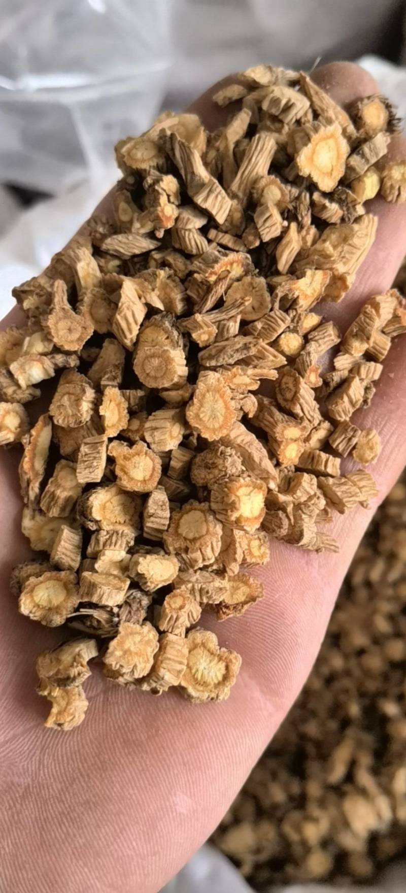 防风河北家中秧子新货颜色好【关书药业】