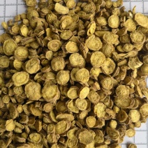 黄芩，黄芹圆片0.3筛，关书药材桟，批发中药材规格齐全