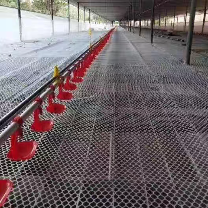 新料特厚塑料平网阳台防护网鸡鸭鹅育雏网脚垫网床窗户防坠网