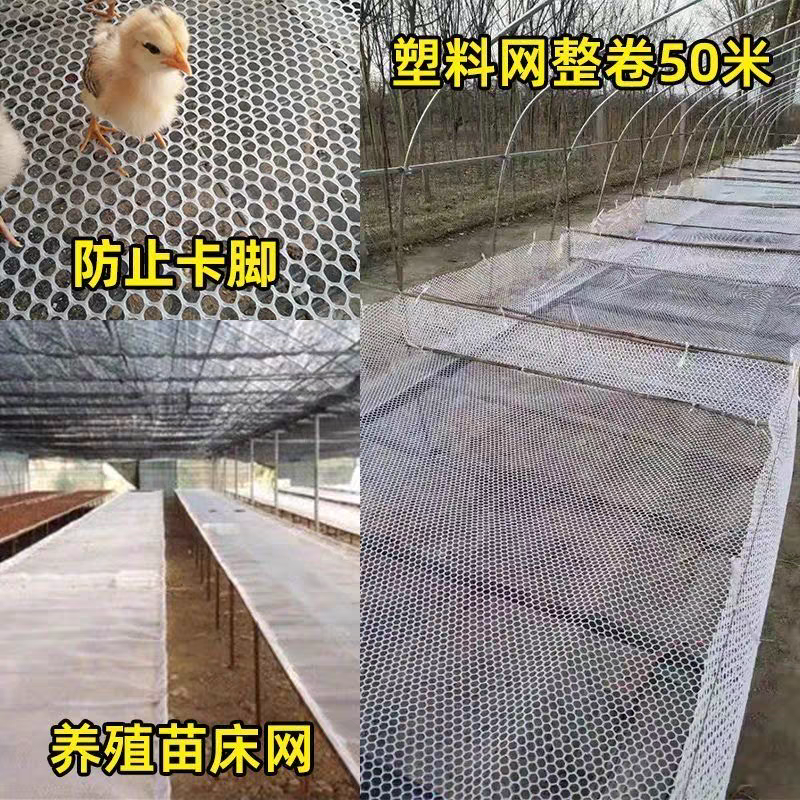 新料特厚塑料平网阳台防护网鸡鸭鹅育雏网脚垫网床窗户防坠网