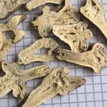 白术生浙白术大统，蜂窝明显，关书药业批发中药材