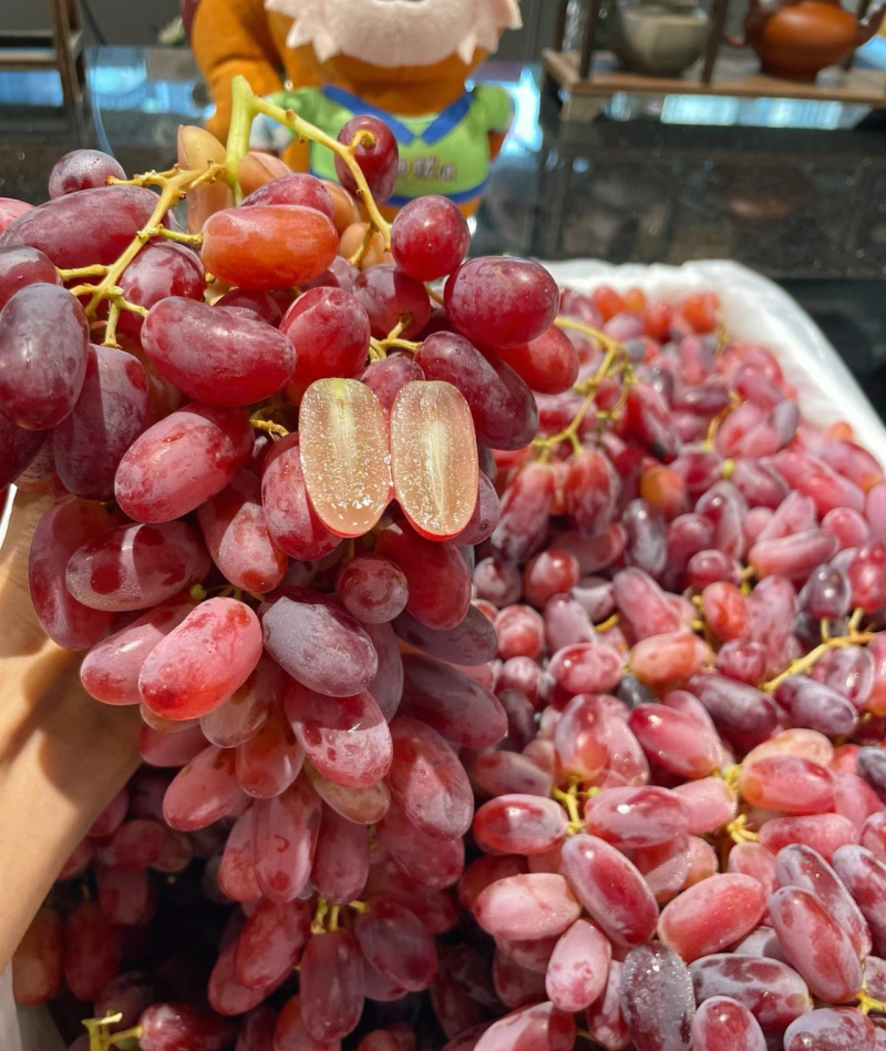 《陕西红提》陕西葡萄基地现摘现发/串形好个/可全国发货