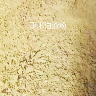 玉米油渣粉，适合饲料厂做饲料添加，可替代部分高价位原料