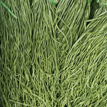 精品贡菜代收代办