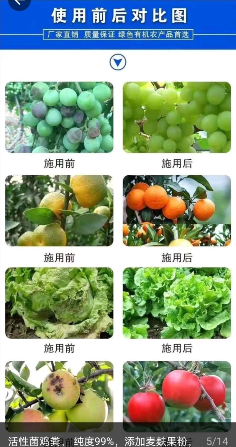 鸡粪【活性菌发酵鸡粪】99%，农家肥，底肥。销往全国各地