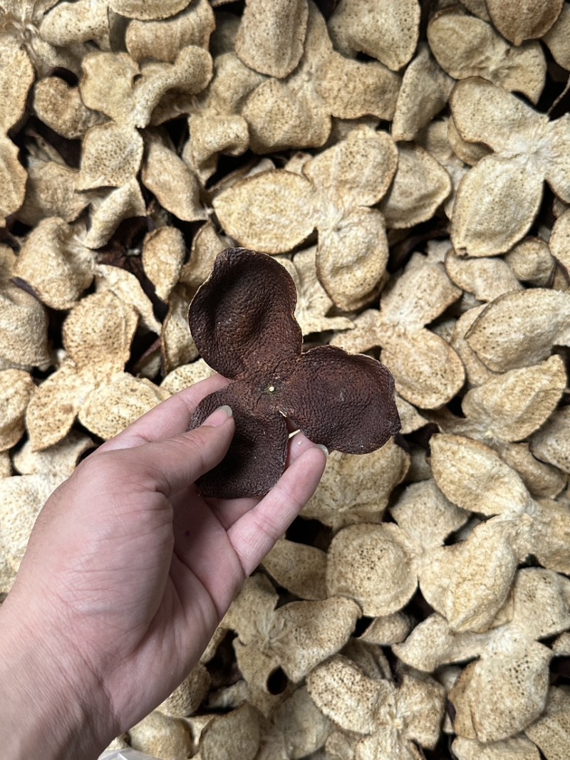 新会陈皮茶枝柑口感好油包多快递包邮