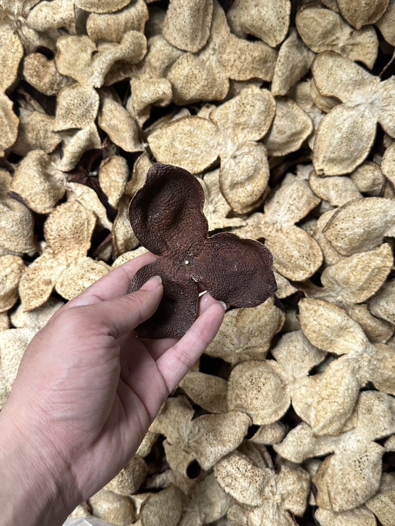 新会陈皮茶枝柑口感好油包多快递包邮
