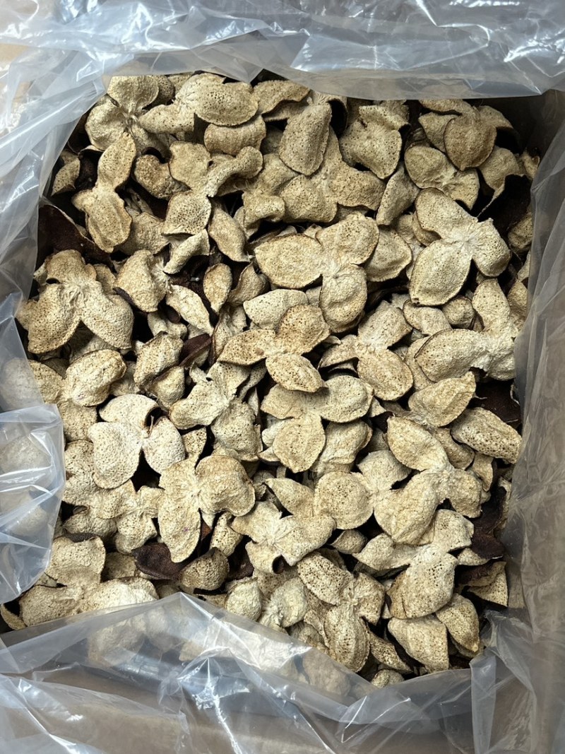 新会陈皮茶枝柑口感好油包多快递包邮
