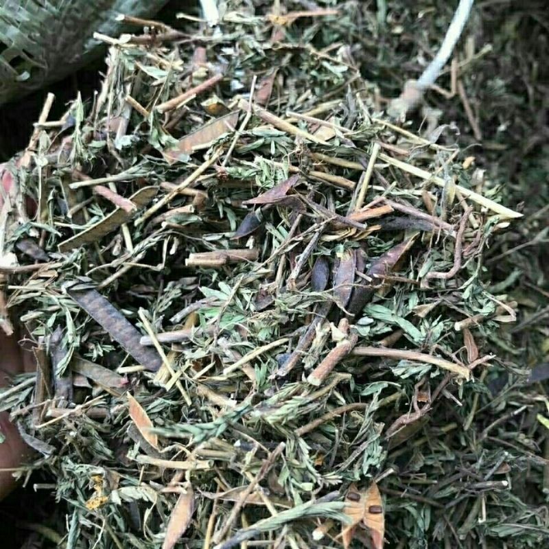 中药材软肝草1公斤水皂角冷背中药材保质量软甘草