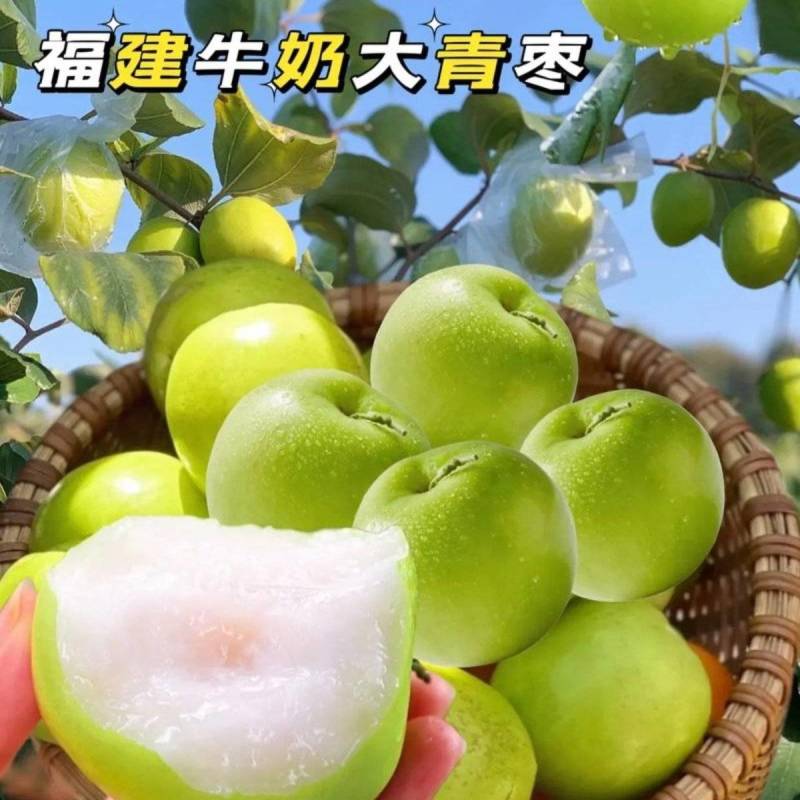 青枣福建大青枣个头大口感脆嫩爽口食用无渣奶香味足