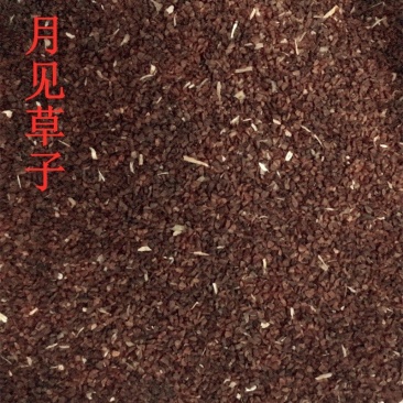 中药材月见草子1公斤月见草籽山芝麻子
