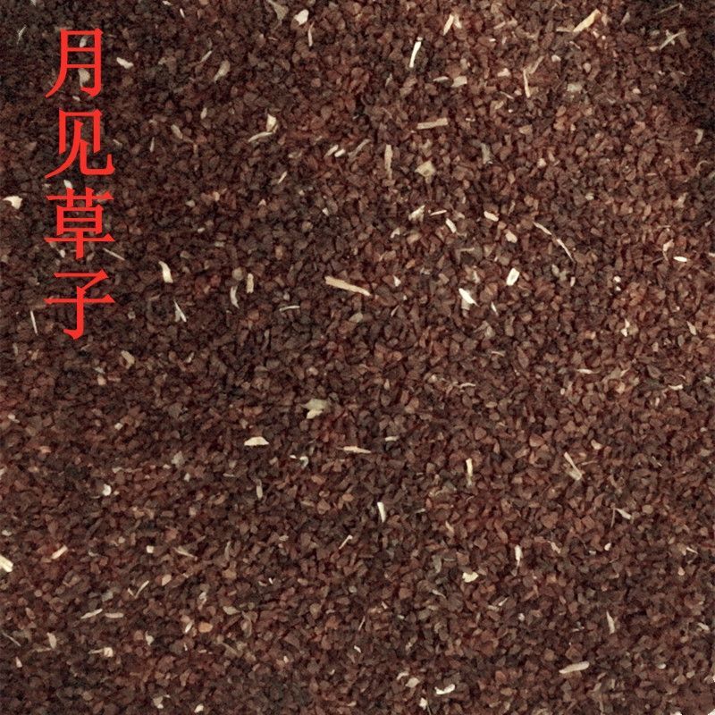 中药材月见草子1公斤月见草籽山芝麻子