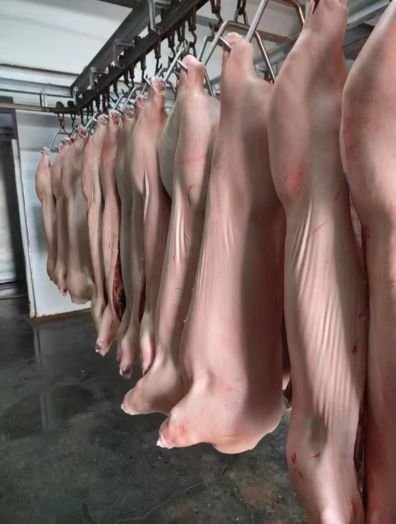 白条猪肉批发，各级白条批发量大从优欢迎各位老板来电