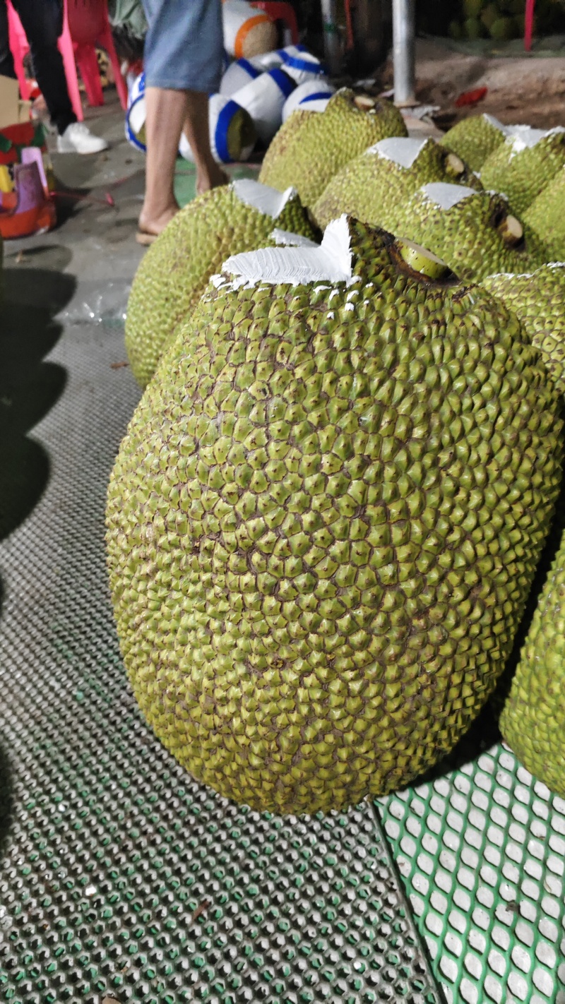海南泰八红肉菠萝蜜，产地直销，质量保证