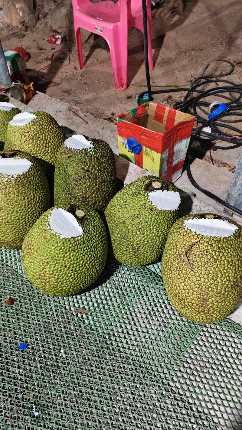 海南泰八红肉菠萝蜜，产地直销，质量保证