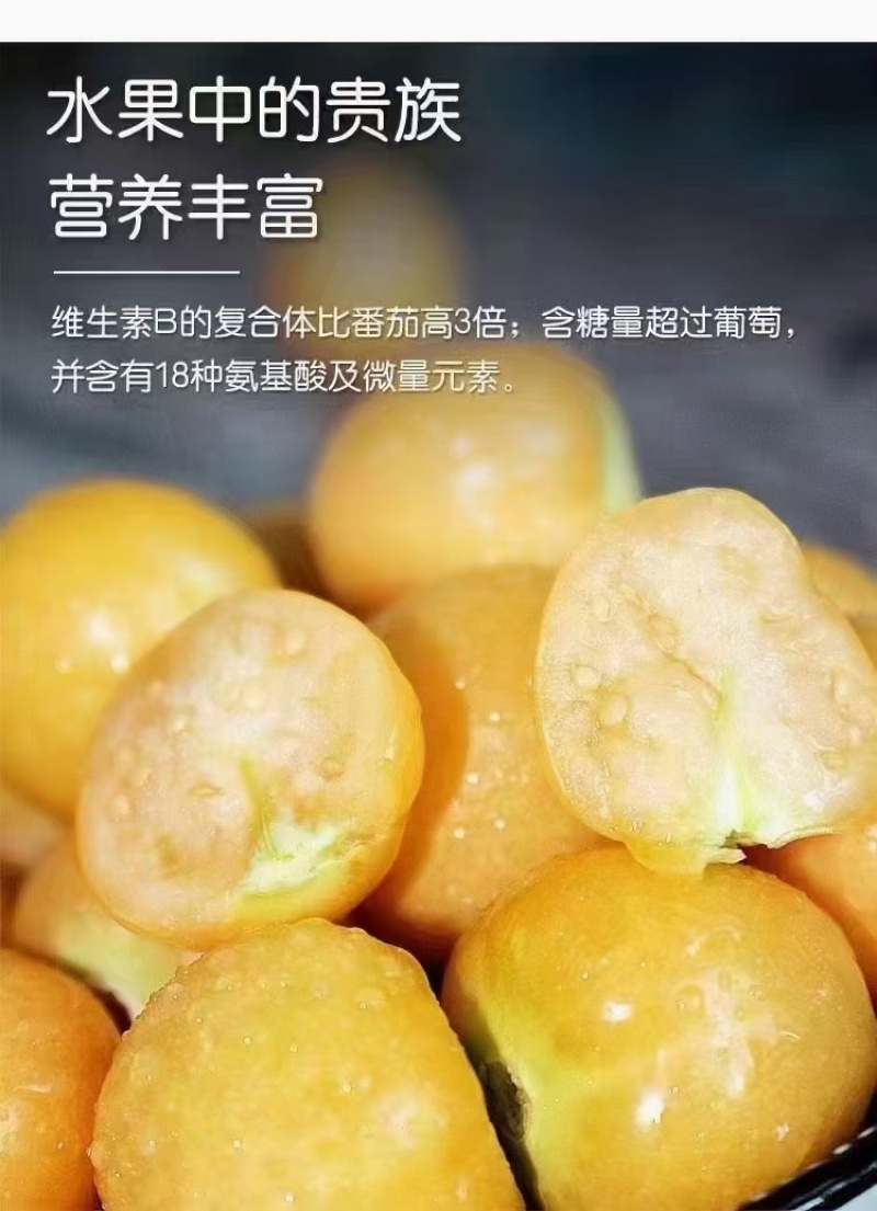 内蒙古莫旗菇娘果