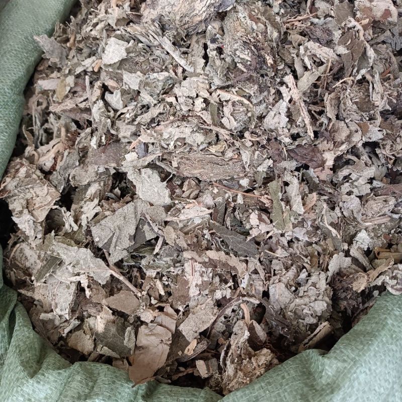 紫珠叶1公斤中草药止血草、紫珠草、